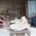 At-Bashy, Naryn Region Cleaning the wool by beating in on an old bed spring