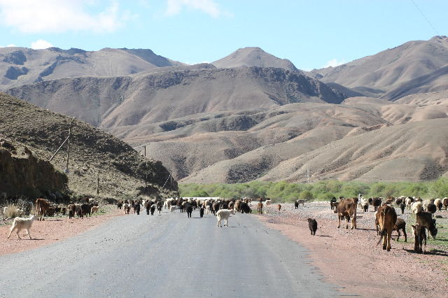 around Issyk-Kul lake