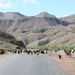 around Issyk-Kul lake Shepherds are all over the country