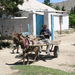 around Issyk-Kul lake Local farmer