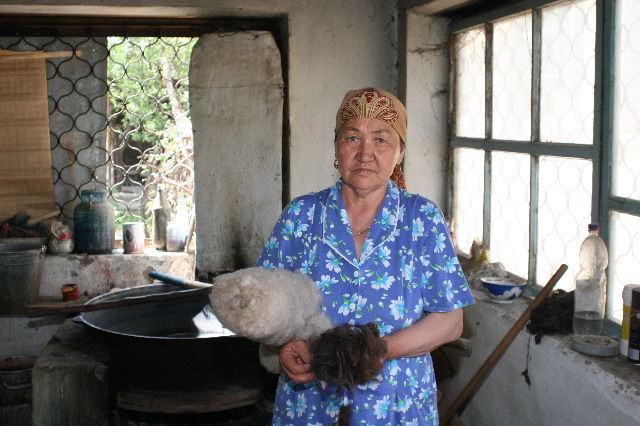 Don Aryk village, Tokmak